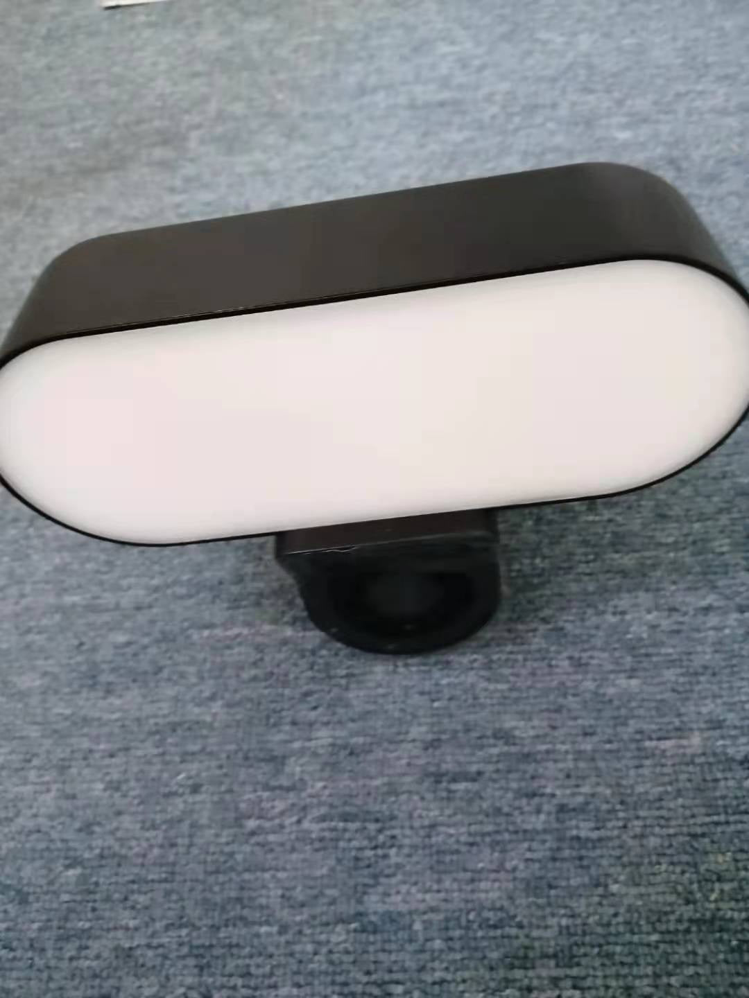 Graffiti Garden Lamp Camera Floodlight WIFI Camera