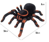 Spider Toy
