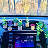 Car Perfume Fragrance Creative Accessories